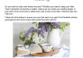 write your website content SEO blogs and articles